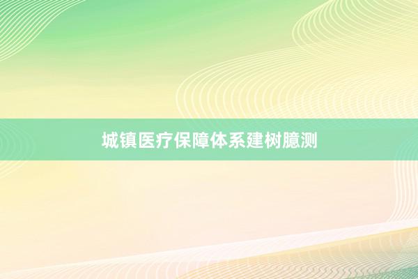 城镇医疗保障体系建树臆测