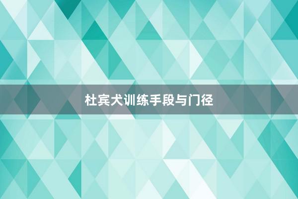 杜宾犬训练手段与门径