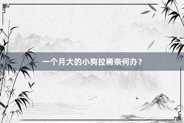 一个月大的小狗拉稀奈何办？